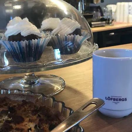 Hotell Hotelli Kolari 3*