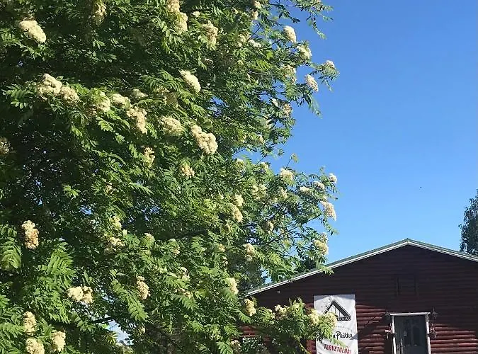 Hotelli Kolari Hotelli 3*